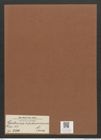 Hantzschia ? dubrovicensis Grun. (de-Toni-Nr.: Genus 50, Species 2210) Zeichnungen Sammlung Grunow Mappe 02435 (Herbarium_W_Grunow_drawings_Folder_02435)